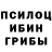 Псилоцибиновые грибы мухоморы Chris Marmsk