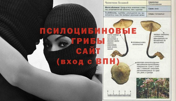 хмурый Краснослободск