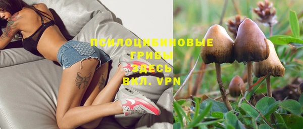хмурый Краснослободск
